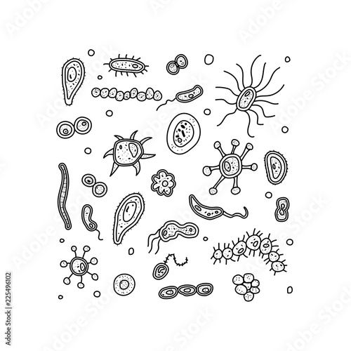 Bacteria cells set composition. Vector illustration.
