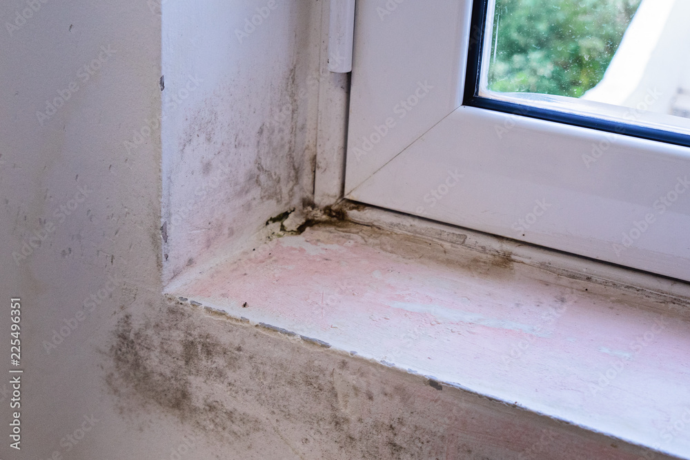 Black mold on white window sill. Poor ventilation, humidity