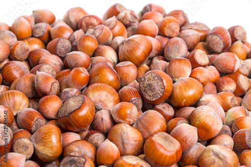 Heap of nuts hazelnuts