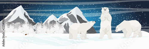 Three white polar bears. Mountain and spruce forest on the horizon. Starry night in the North. Landscapes of the Arctic, Canada and the Nordic countries