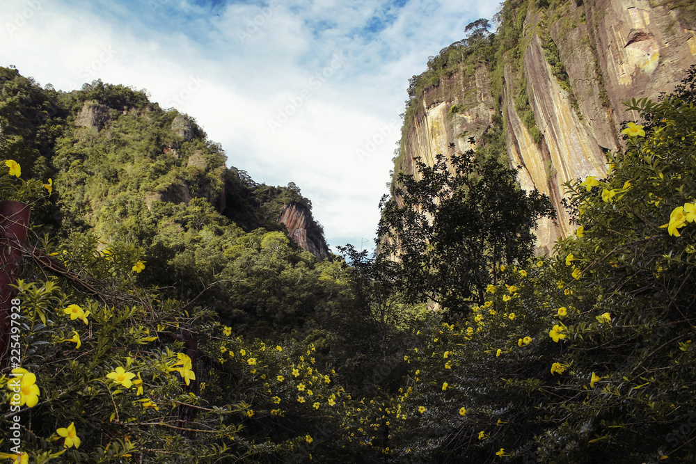 Flowery Road Above The Valley Of Lembah Harau