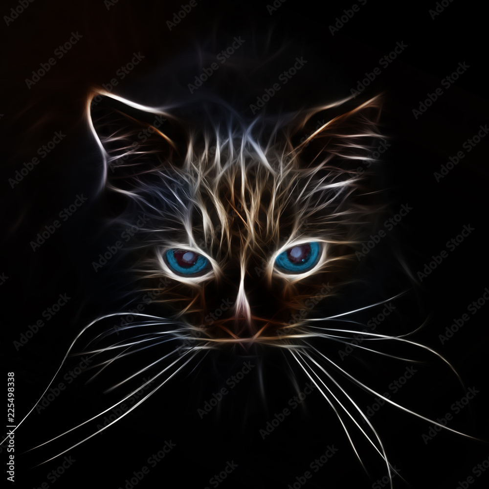 silhouette of a glowing cat's muzzle with blue eyes silhouette of a glowing cat's muzzle with blue eyes