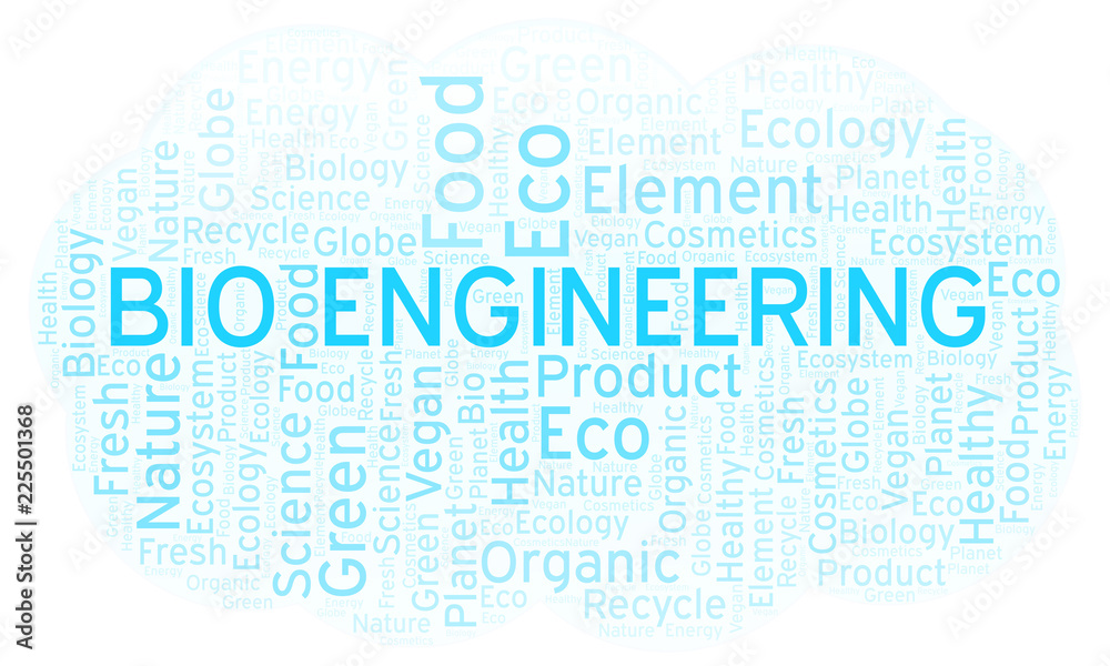 Fototapeta premium Bio Engineering word cloud.