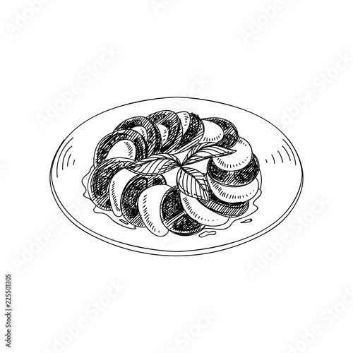 Vector hand drawn caprese with tomatoes and basil.