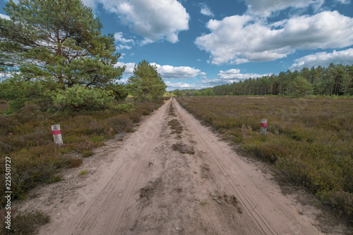 Kyritz-Ruppiner Heide, Landschaft am Tage, Wanderweg photo