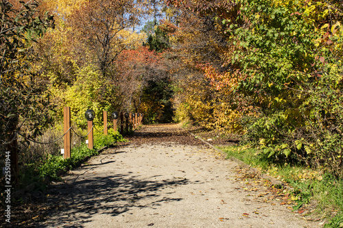 Alley in the Botanical garden