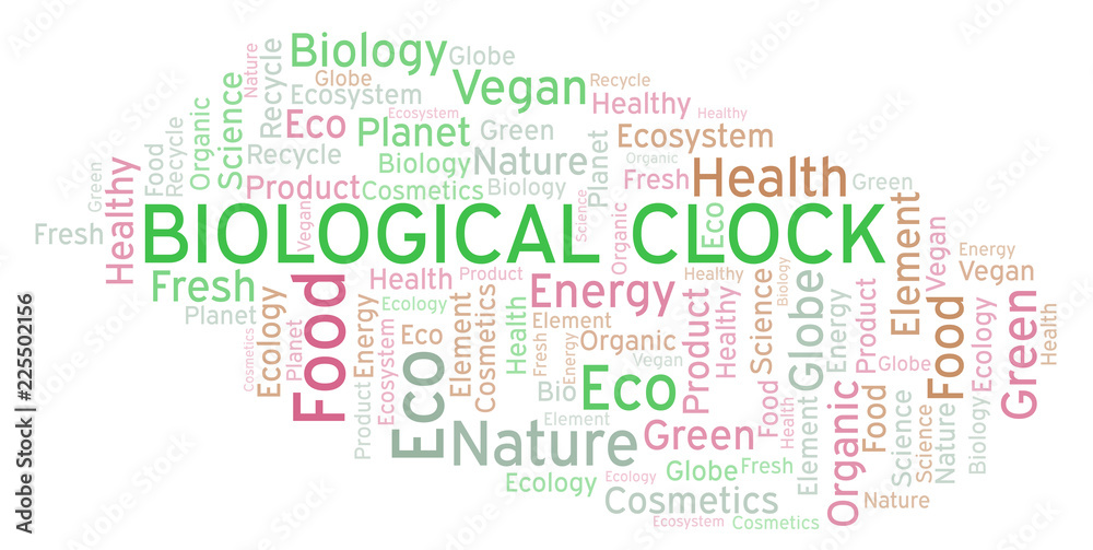 Biological Clock word cloud. Biological Clock word cloud.