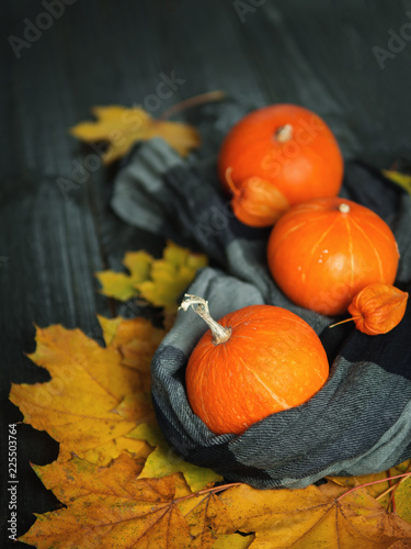 Background for thanksgiving. Beautiful orange pumpkins in autumn foliage on dark wooden background. Copy space