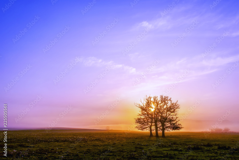 Fototapeta premium at dawn