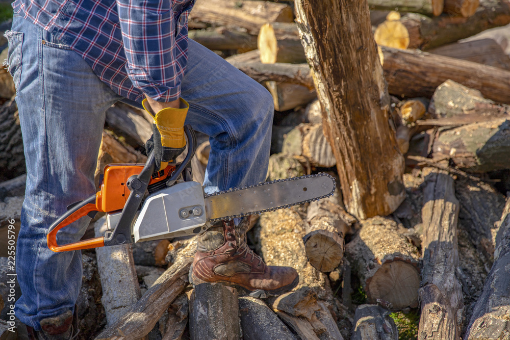 The worker works with a chainsaw. Chainsaw close up. Woodcutter saws tree with chainsaw on sawmill. Chainsaw in action cutting wood. Man cutting wood with saw, dust and movements.