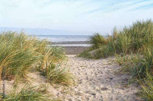 Dunes at the beach of Schillig, Lower Saxony, Germany