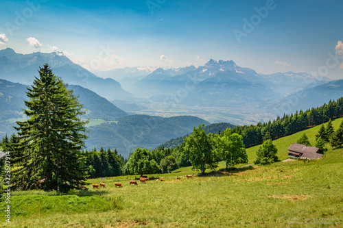 Leysin Alps