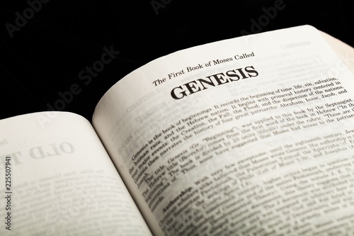 Tableau sur toile In the beginning God created