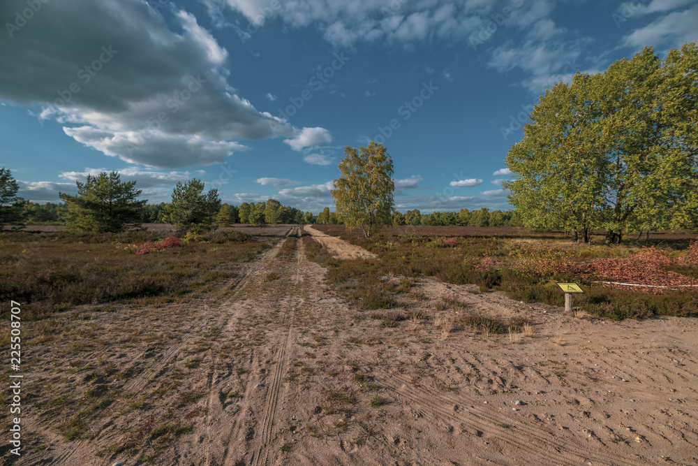 Fototapeta Kyritz-Ruppiner Heide, Landschaft am Tage, mit Warnschild