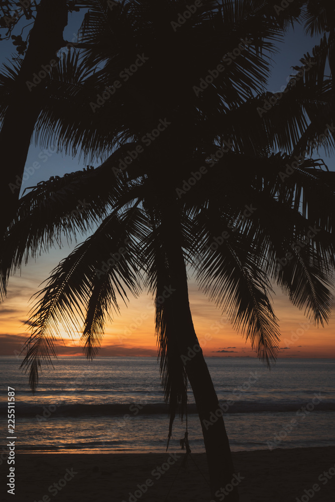 Silhouette of palm tree over beautiful tropic sunset at the beach in Thailand