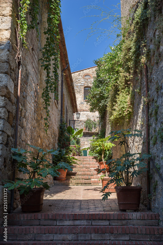 Narrow street with plant covered buildings in San Gimignano, Italy