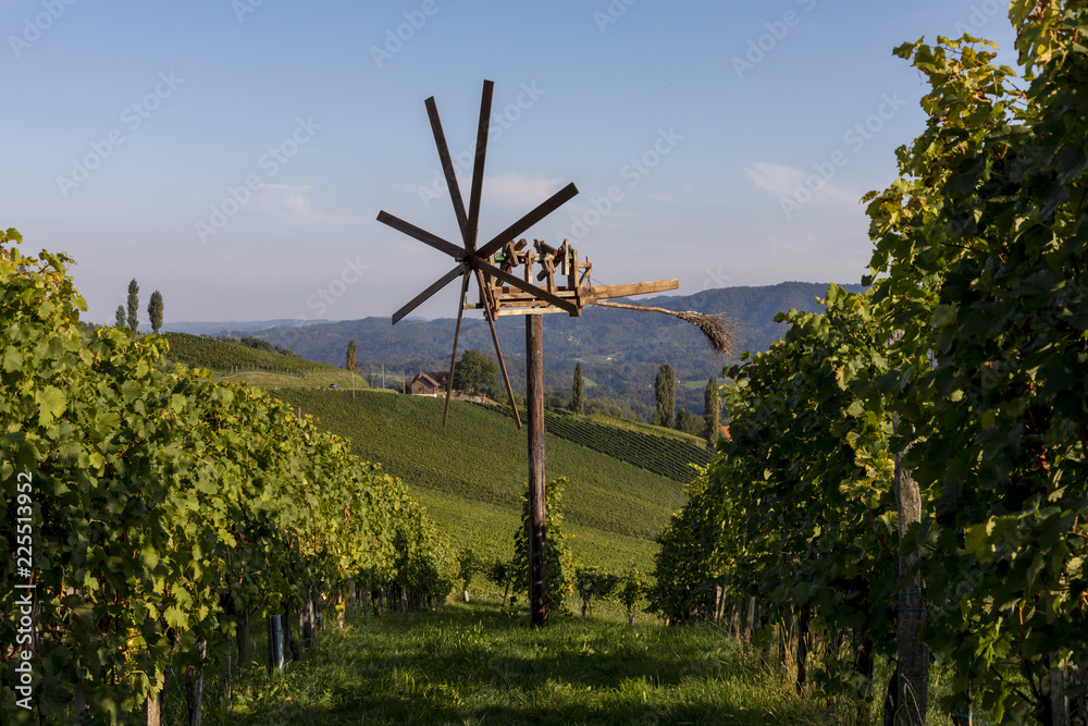 scenery vineyard along the south Styrian vine route named suedsteirische weinstrasse in Austria in autumn, Europe scenery vineyard along the south Styrian vine route named suedsteirische weinstrasse in Austria in autumn, Europe
