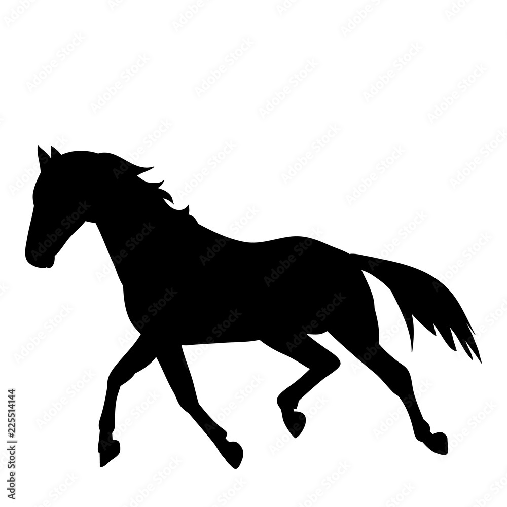 silhouette horse running silhouette horse running
