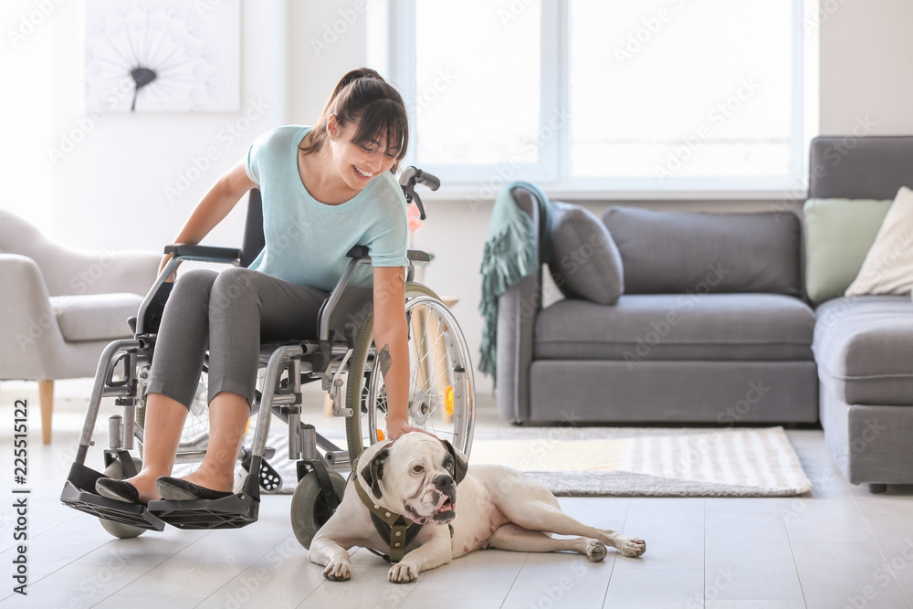 © Pixel-Shot - Young woman in wheelchair with service dog at home