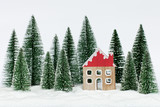 christmas holiday celebration and new year concept. House with christmas trees on the snow in winter