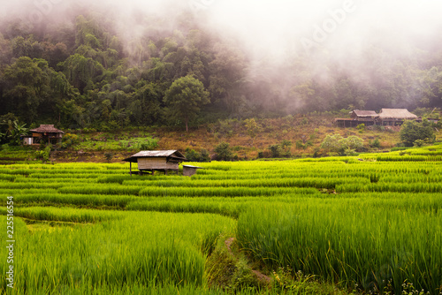 Small house and rice terraces field at pabongpaing village rice terraces Mae-Jam Chiang mai, Thailand photo