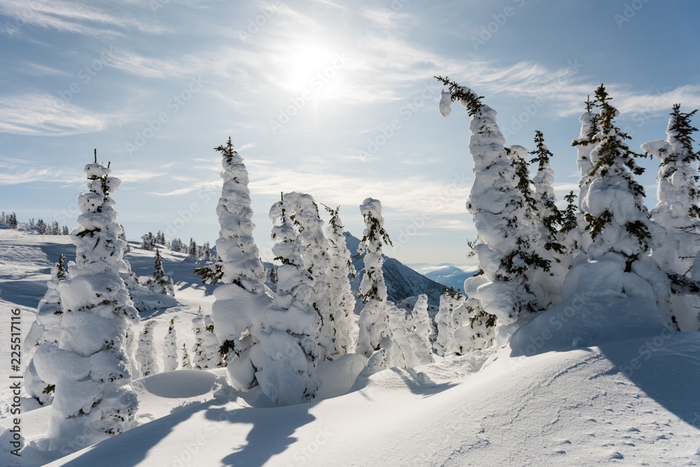 custom made wallpaper toronto digitalSnow covered trees during winter