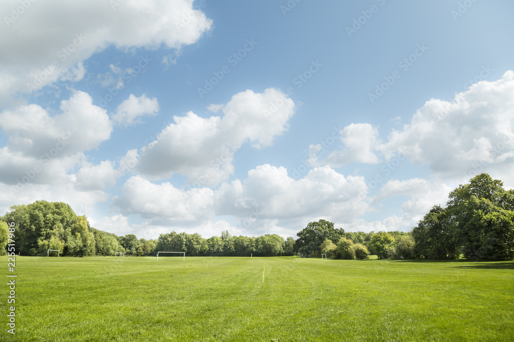 Wide green meadow Wide green meadow