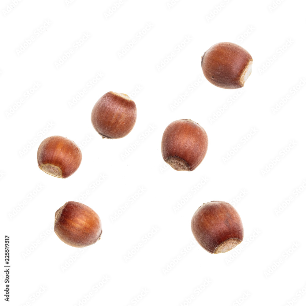 Ripe hazelnut nuts isolated on white background Ripe hazelnut nuts isolated on white background