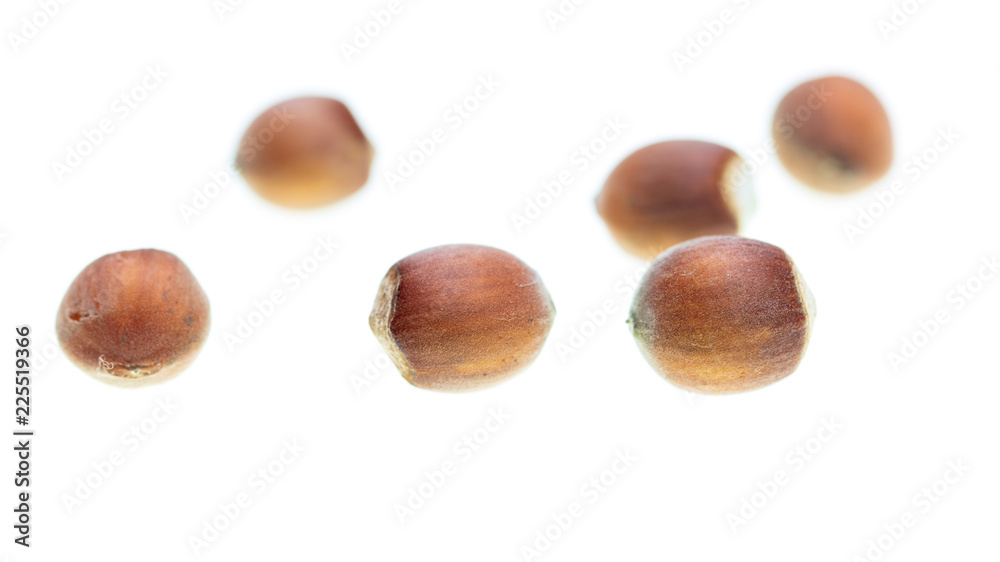 Ripe hazelnut nuts isolated on white background Ripe hazelnut nuts isolated on white background