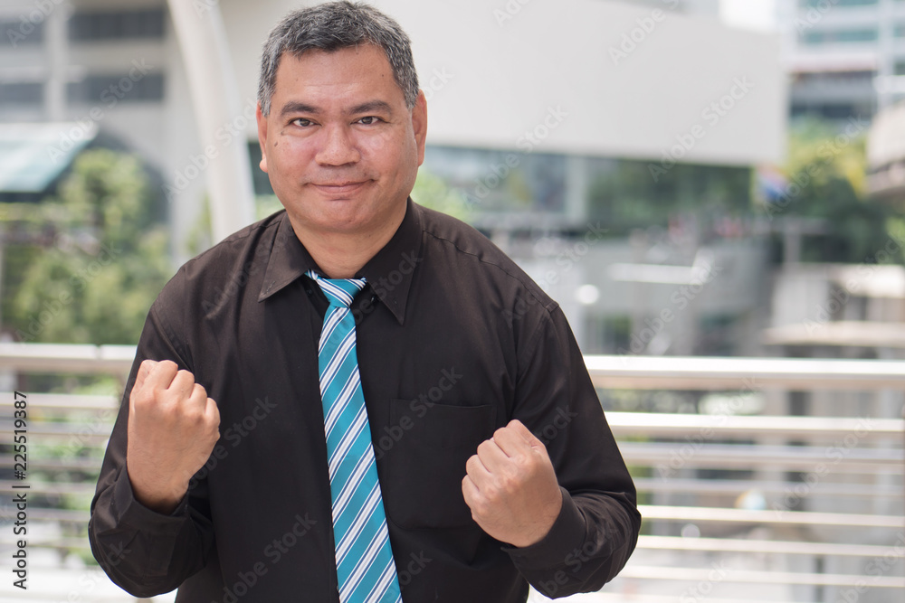 strong successful old south east business man; portrait of happy, strong, successful southeast asian businessman with grey hair; 50s old asian man model