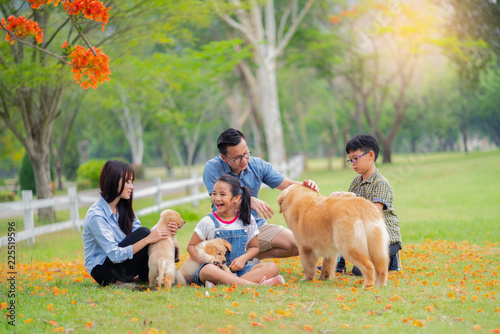 Happy family and golden retriever dogs sit in the garden with the fallen yellow flowers background