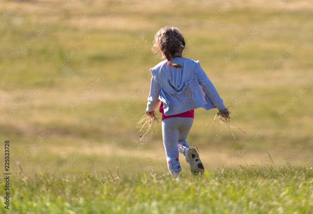The girl runs along the grass in the field The girl runs along the grass in the field