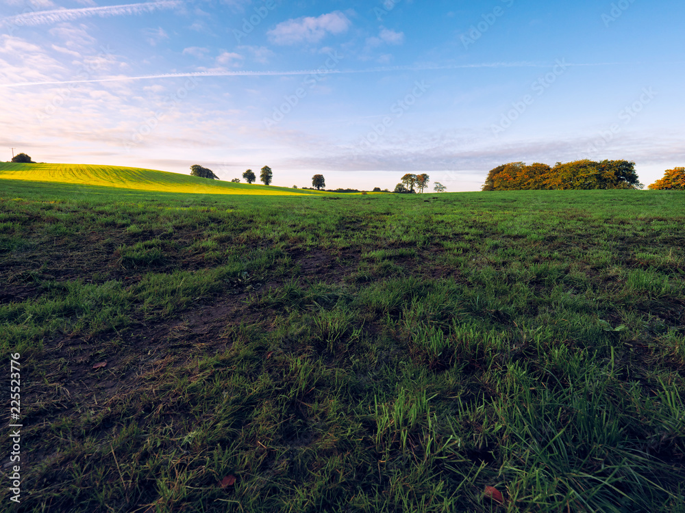 Obraz premium Early Autumn countryside morning,Northern Ireland