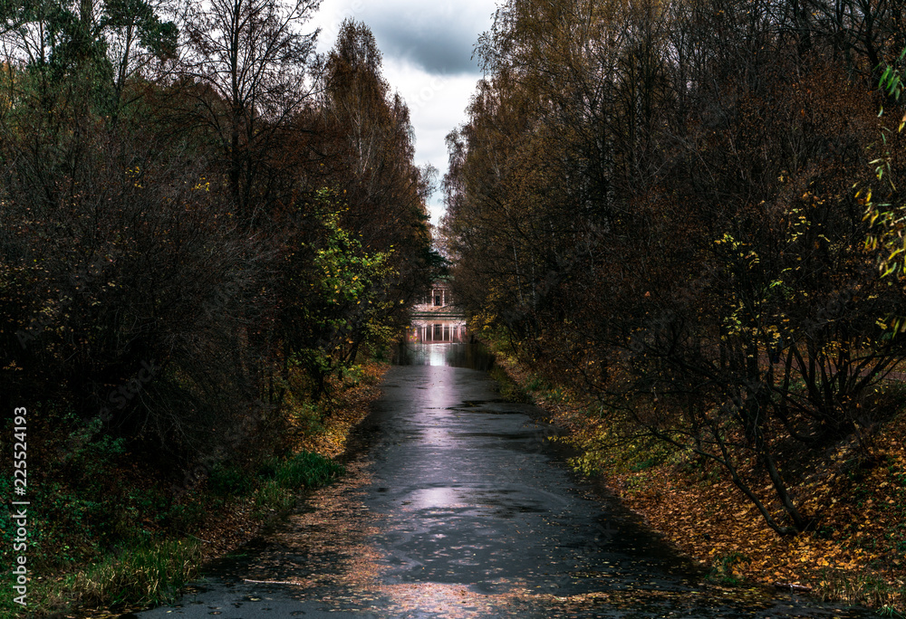 Obraz premium river in forest