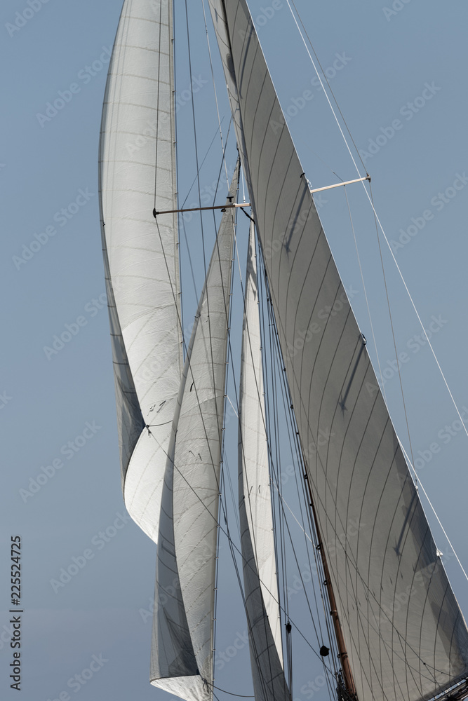 Fototapeta premium Sail