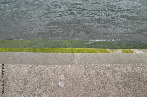 Sea Wall Steps with Seaweed