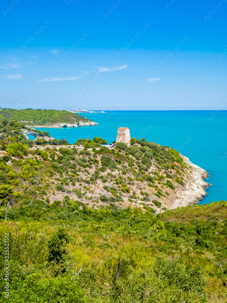 Apulia, Italy: View of the Arco di San Felice, caves and beach, south of Vieste