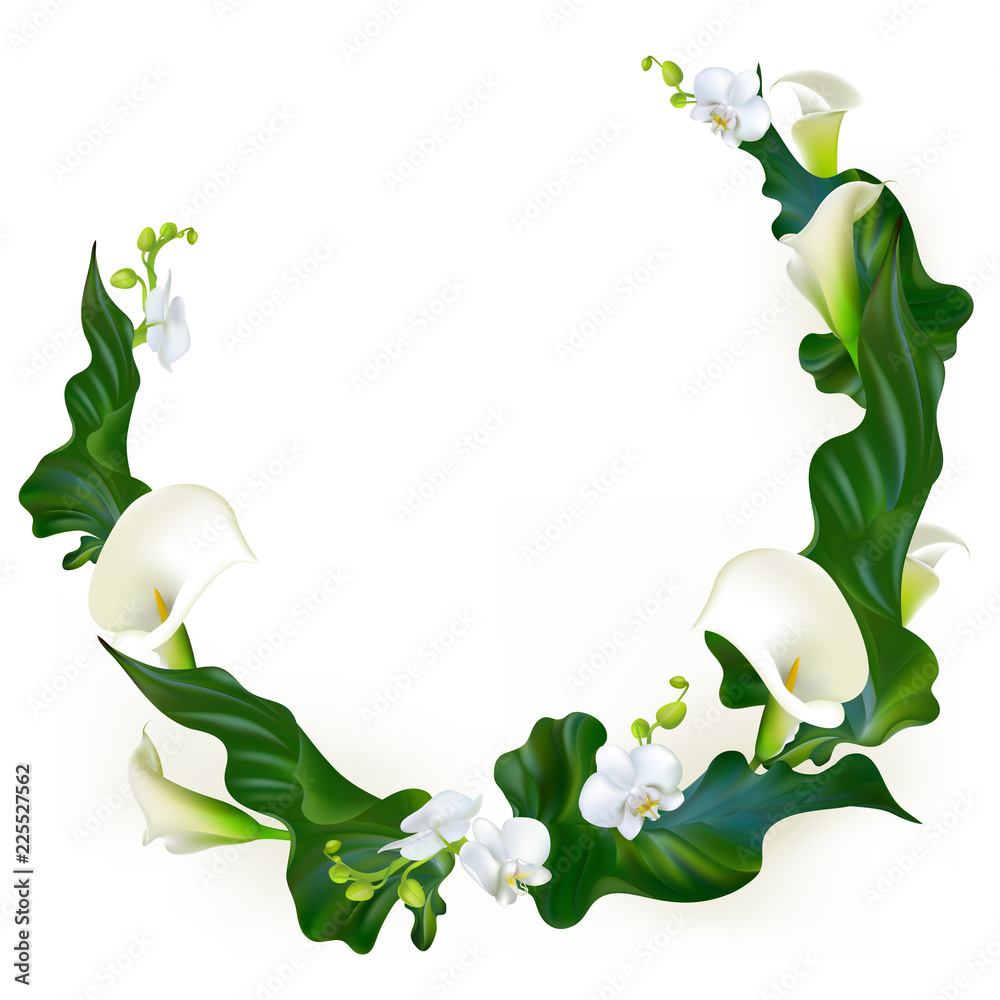 Half White And Half Green Background With Floral Ornaments Stock Photo,  Picture and Royalty Free Image. Image 29818453.