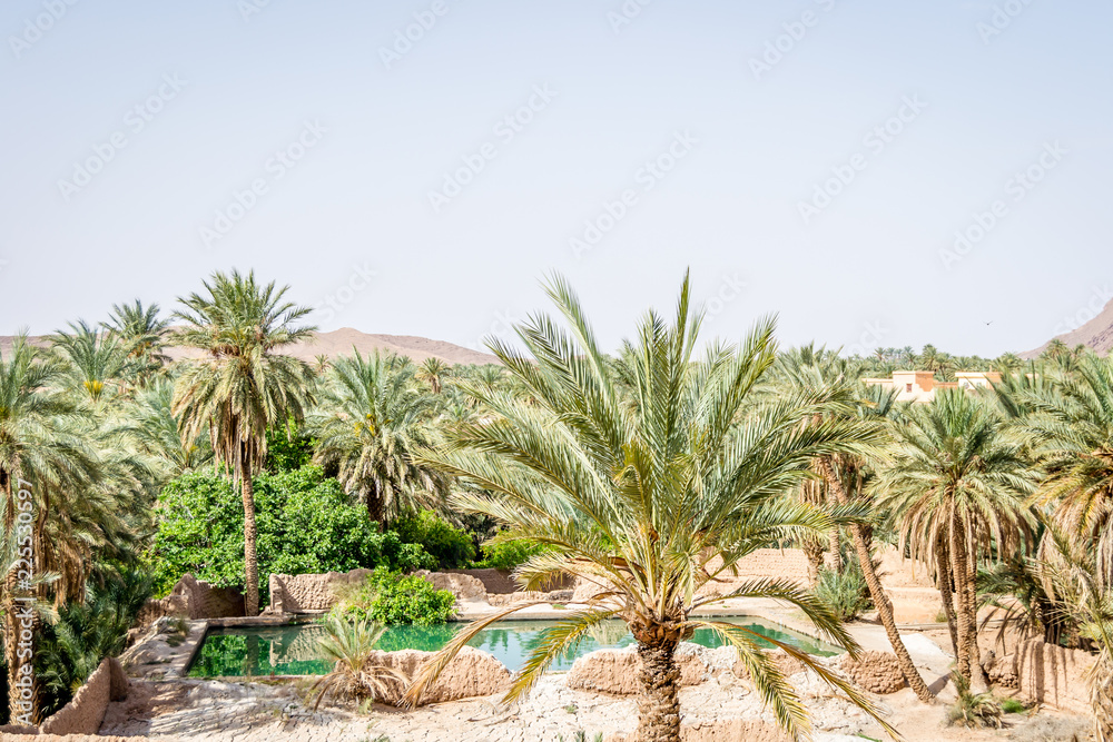 Obraz premium Desert of figuig
