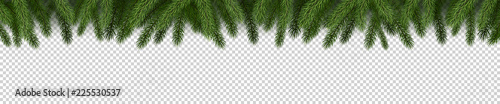 Fotografie, Obraz Fir branches on checkered background