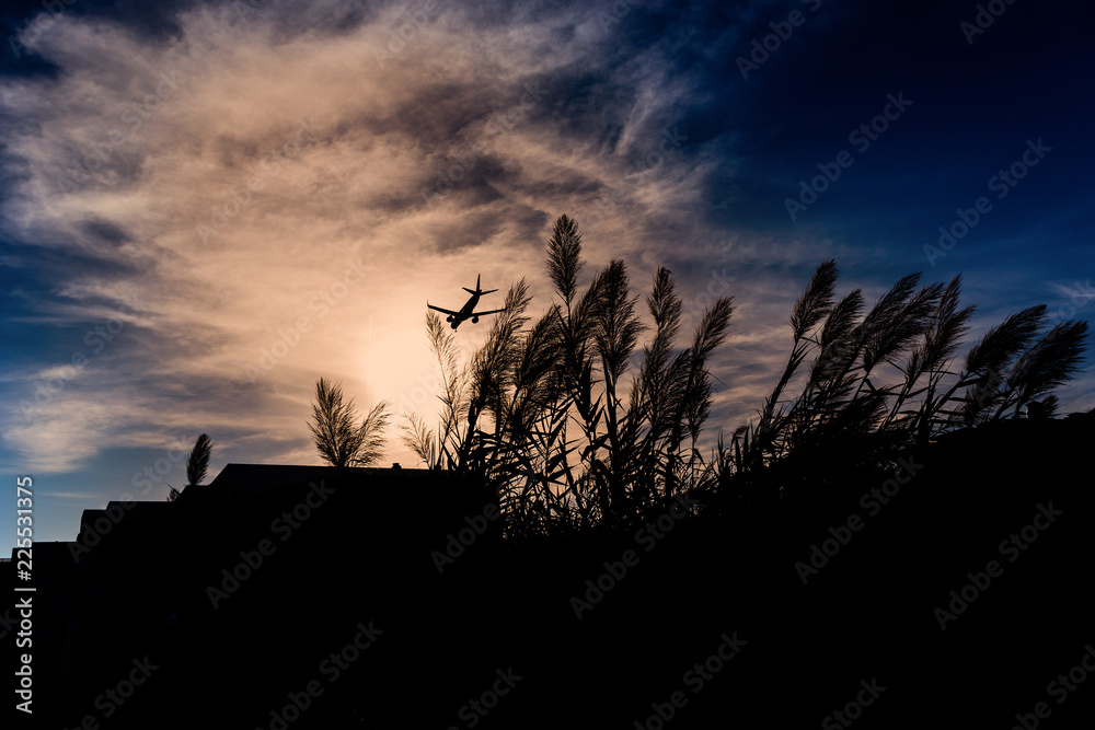 Palmen im Sonnenuntergang auf Ibiza mit Flugzeug im Anflug
