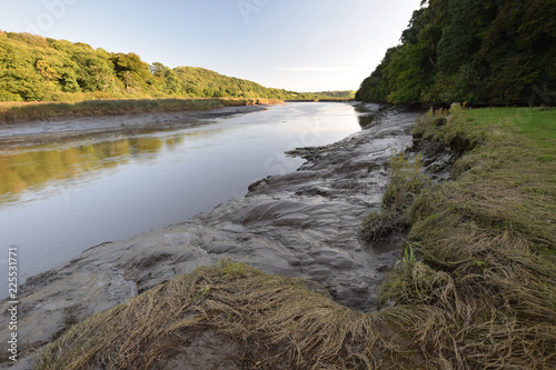 Tidal mud flats River Tamar Cothehele Quay