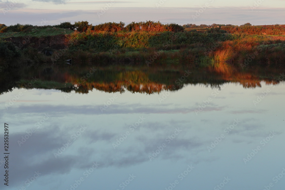 Reflection Reflection