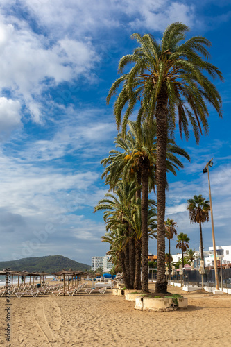 Palmen am Strand von Ibiza / Platja d´en Bossa