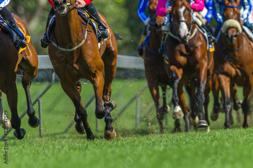 Race Horses Running Legs Hoofs Grass Track © ChrisVanLennepPhoto