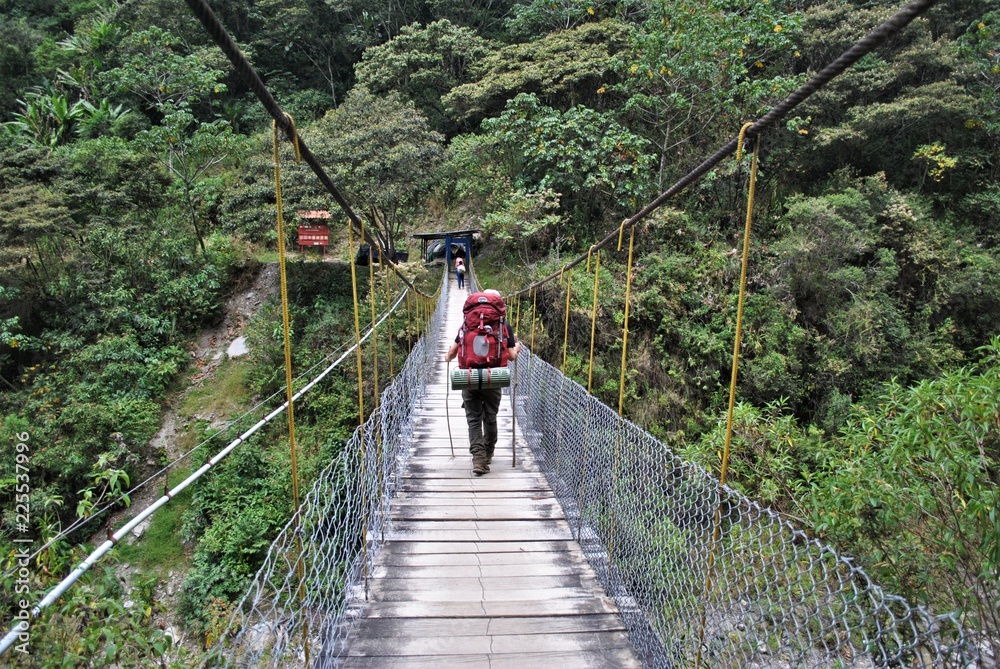 Naklejka premium bridge in south america jungle