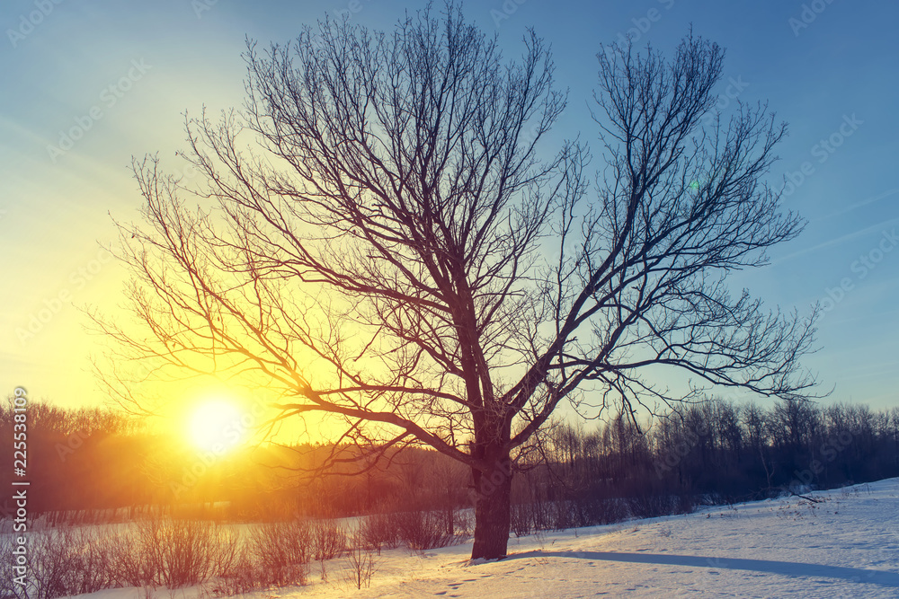 Sunset on the background of winter nature Sunset on the background of winter nature