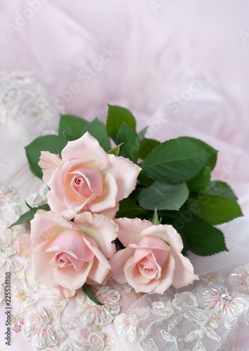 Pink roses on wedding lace (copy space)