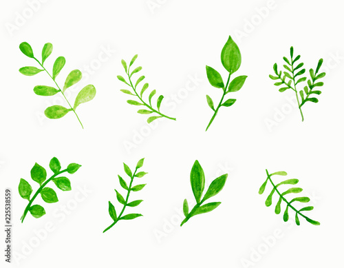  set of vector watercolor leaves.