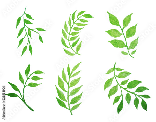  set of vector watercolor leaves.